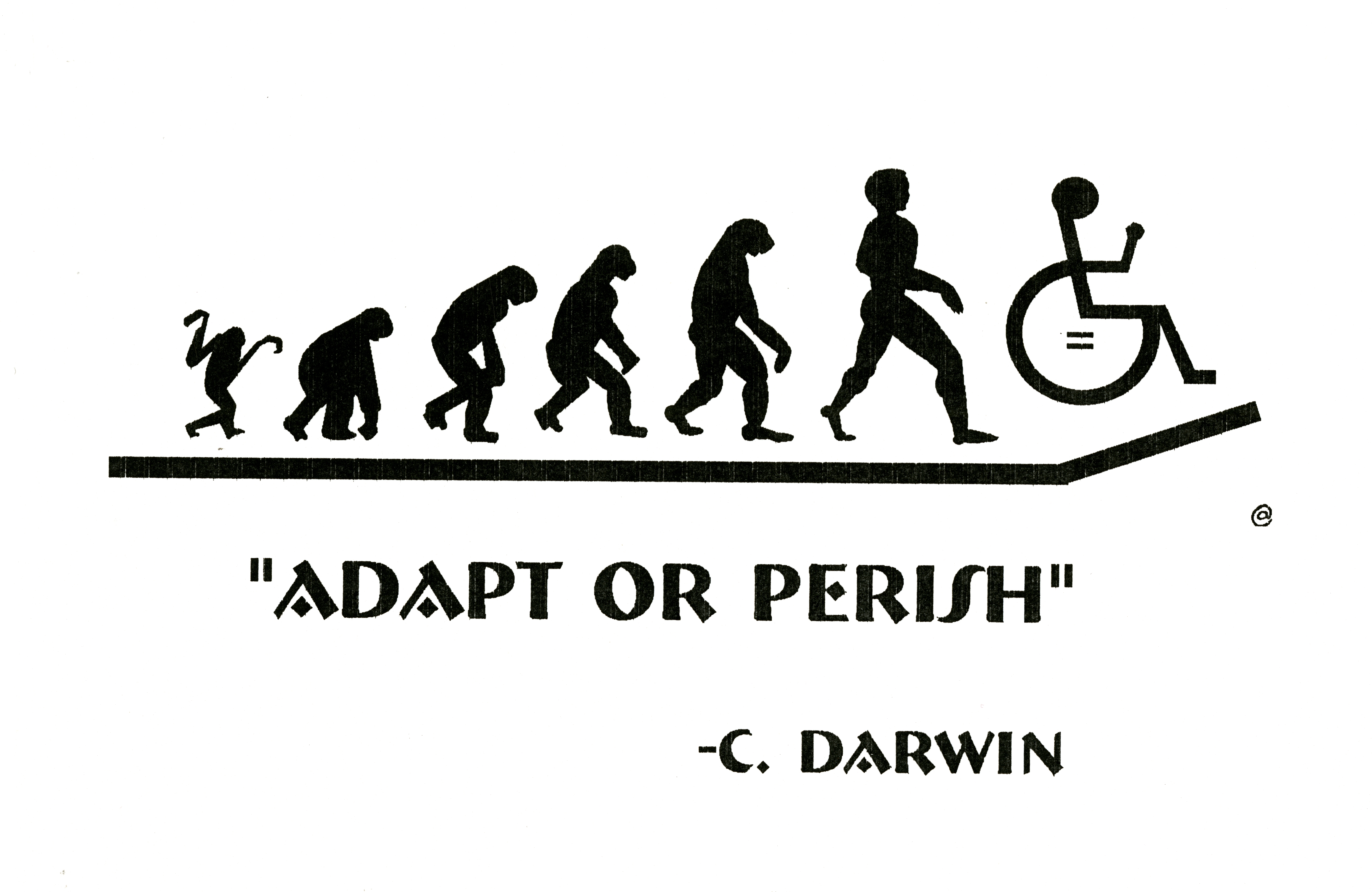 Stonum - Adapt or Perish